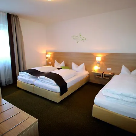 Hotel Vitis 3*